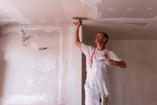 Reliable Ainaloa, HI Dry wall and painting Solutions